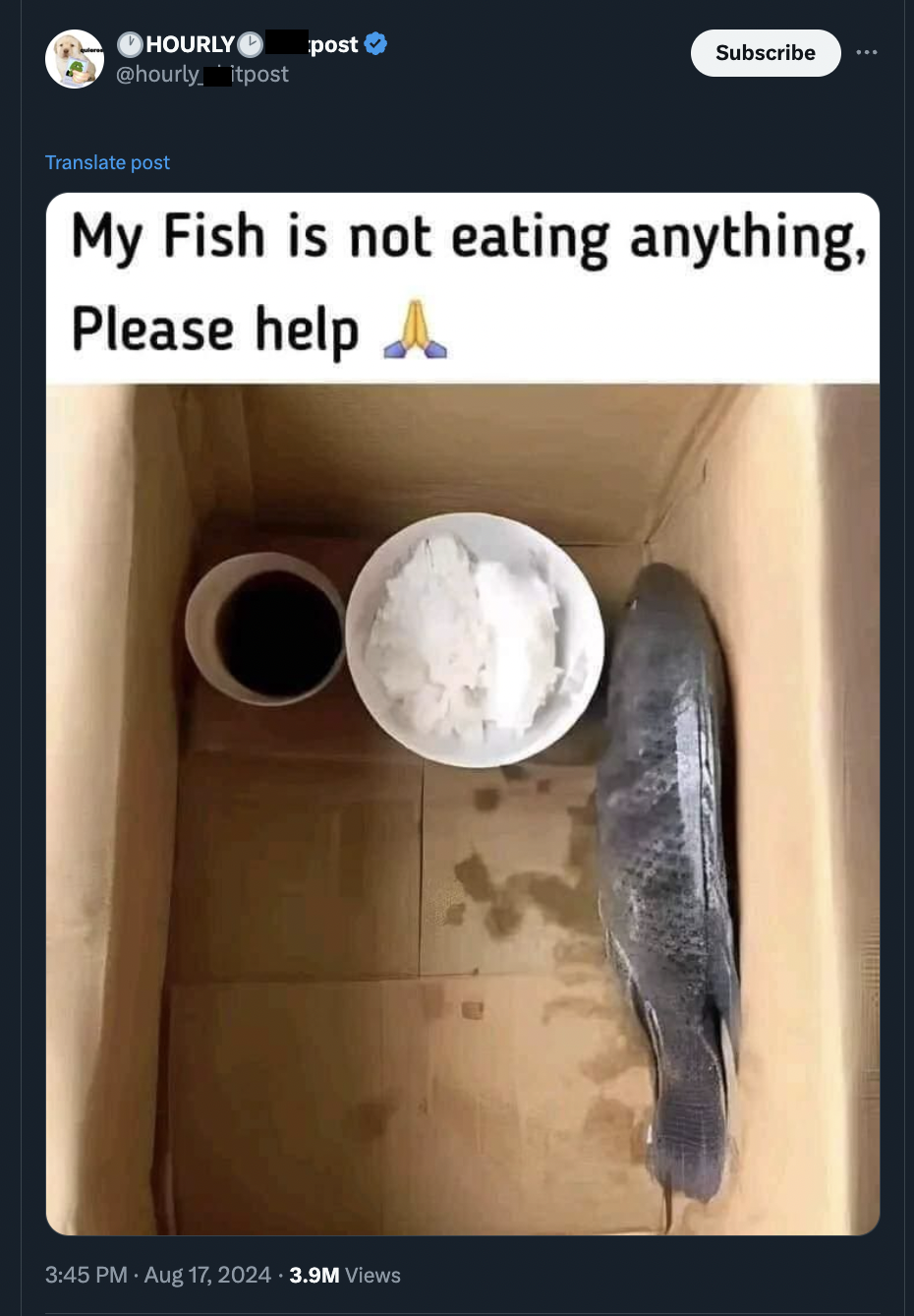 my fish is not eating anything please help - Hourly , Itpost post Subscribe Translate post My Fish is not eating anything, Please help A 3.9M Views